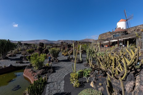 Jardin de Cactus de Cesar Manrique