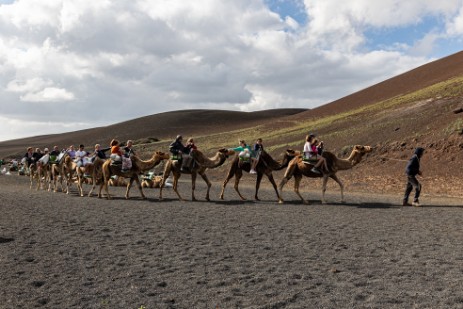 Kameltouren im Timanfaya Nationalpark