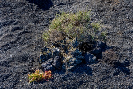 Wanderung Caldera de los Cuervos