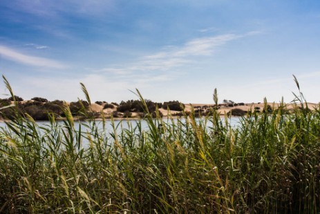 Dünen von Maspalomas