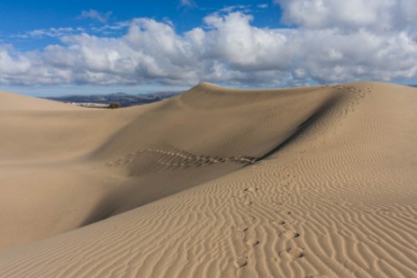 Dünen von Maspalomas