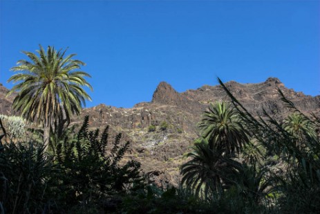 Barranco del Aurure