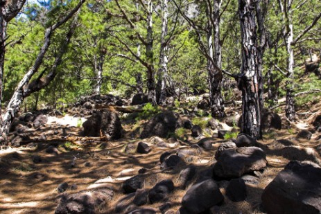 Caldera de Taburiente