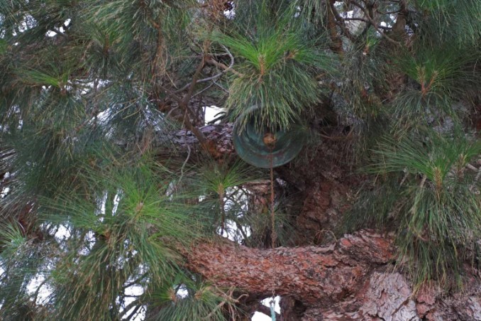 Glocke in Baum in Las Vegas Teneriffa