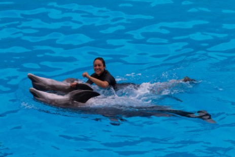 Delfinshow im Loro Parque