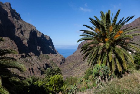 Barranco de Masca