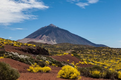 Teide im Frühling