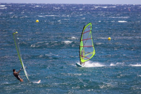 Windsurfer bei El Medano